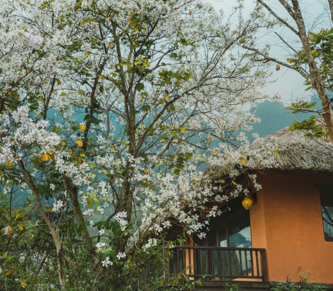 (Mới nhất) Review Resort Avana Retreat Mai Châu Hòa Bình, có gì ở khu nghỉ dưỡng mới xịn xò này?